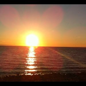 Meet your Posher, Will